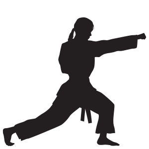 Kampfsport Karate